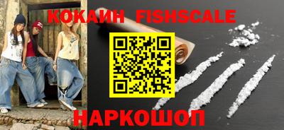 крисы Пенза
