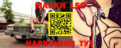 крисы Пенза