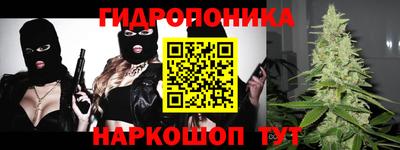 крисы Пенза