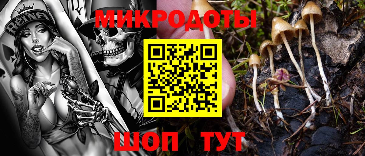 Галлюциногенные грибы мицелий Обь